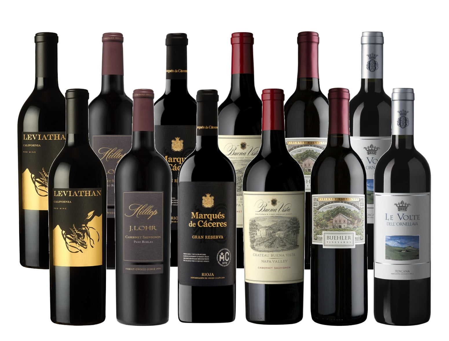 Best Wines of 2025 - Curated Tasting Set (6 or 12 Bottles)