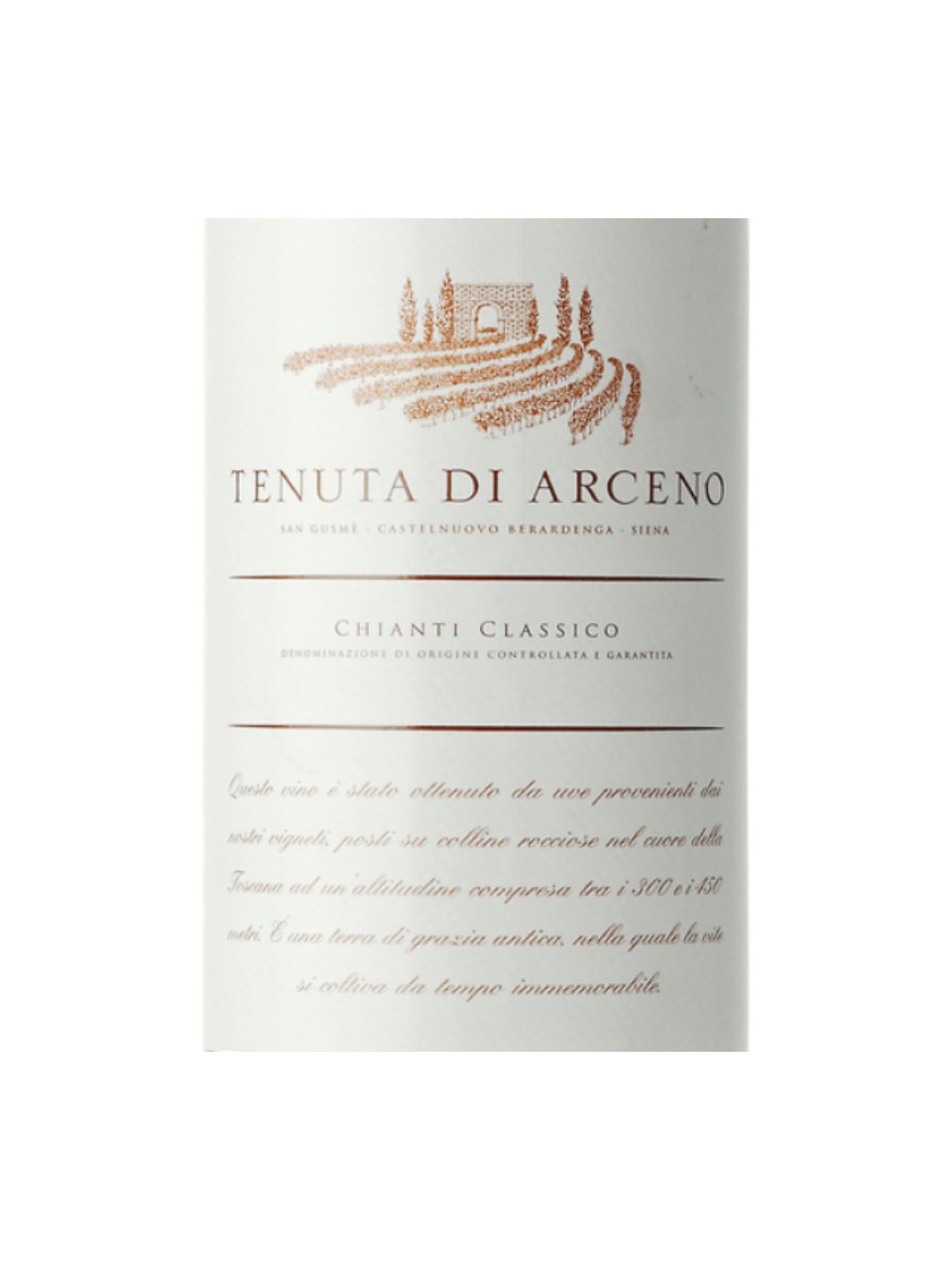 Tenuta di Arceno Chianti Classico 2022 (750 ml)