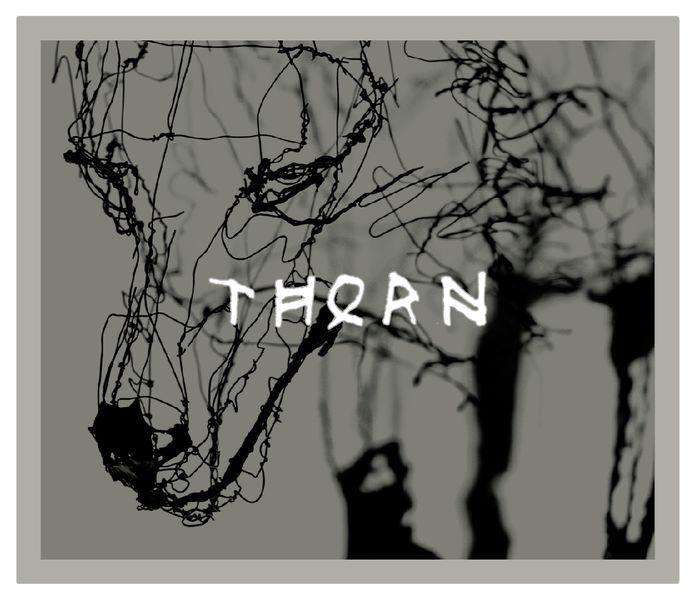 The Prisoner Thorn Merlot 2016 (750 ml) - BuyWinesOnline.com