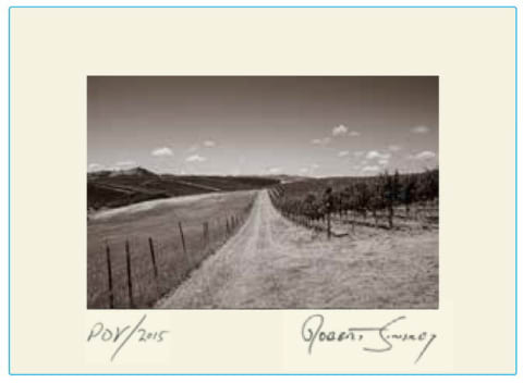 Robert Sinskey Point of View 2015 (750 ml)