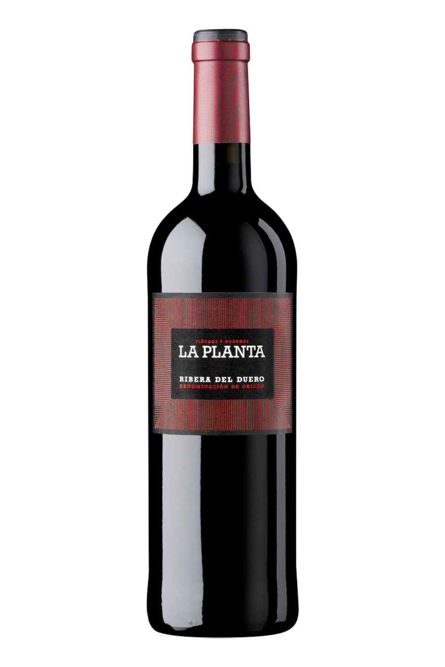 Bodegas Arzuaga La Planta 2021 (750 ml)
