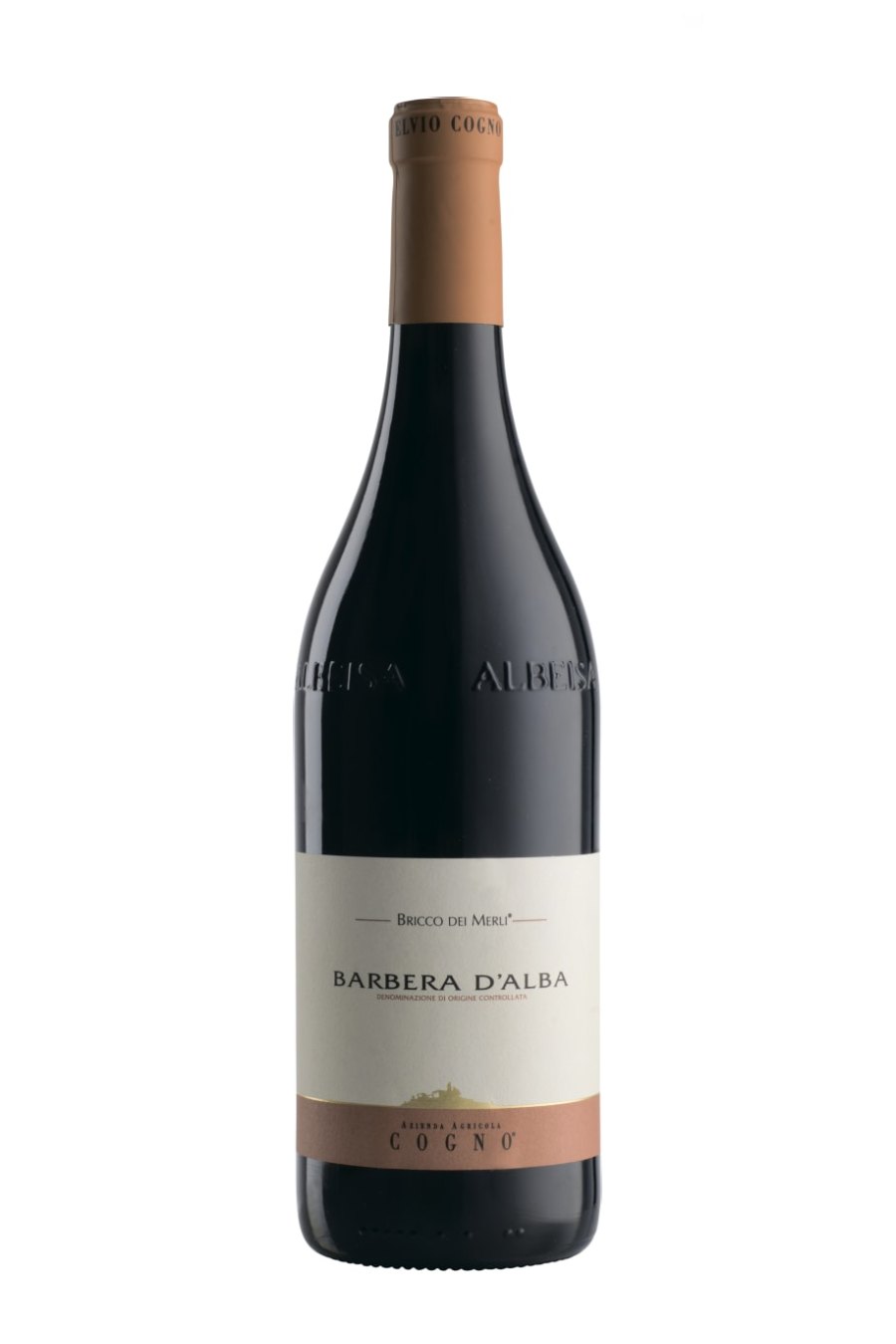 Elvio Cogno Bricco Dei Merli Barbera d'Alba 2020 (750 ml)