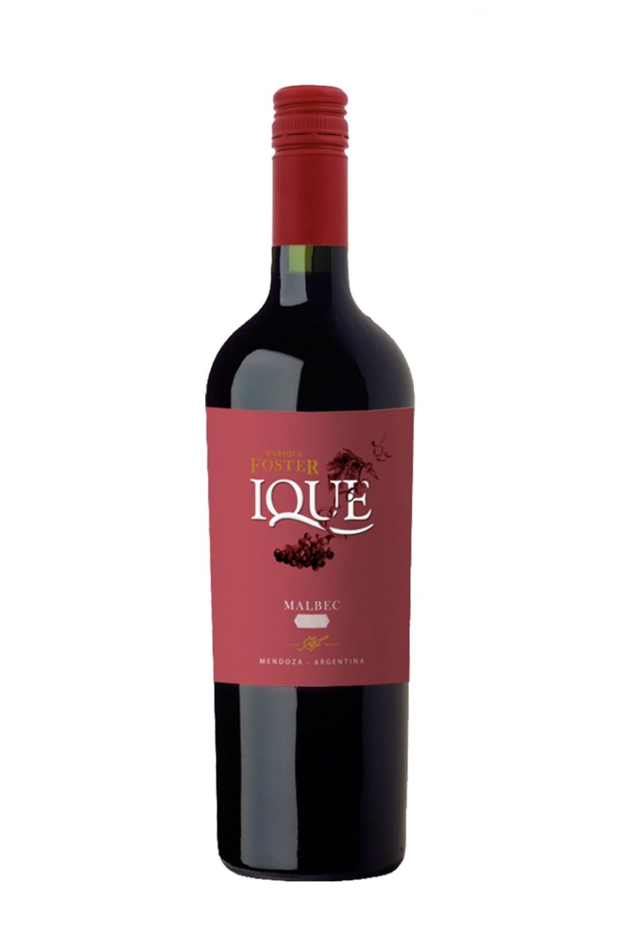 Enrique Foster Ique Malbec 2021 (750 ml)