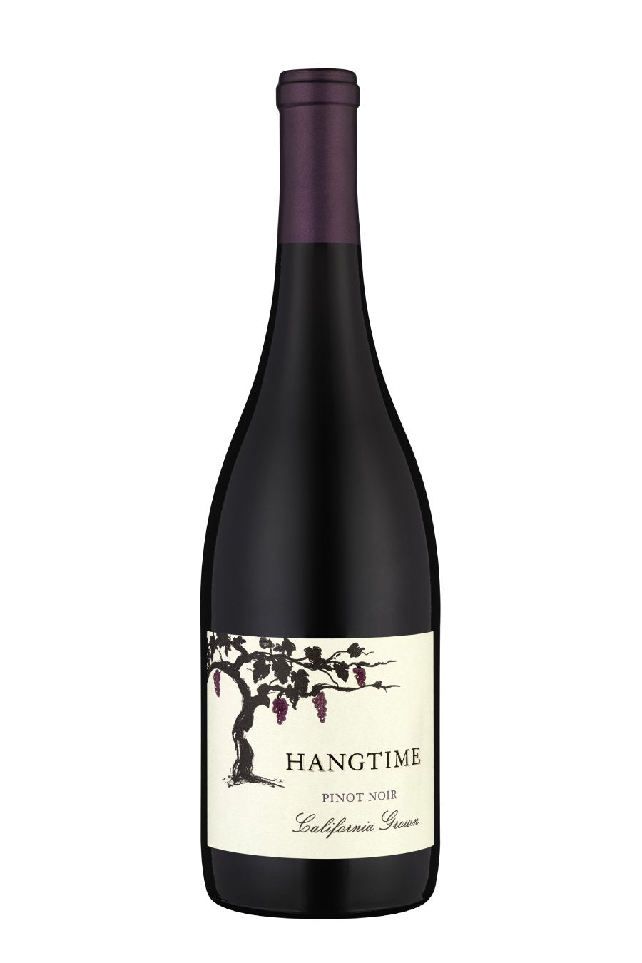 DAMAGED LABEL : Hangtime Pinot Noir (750 ml)