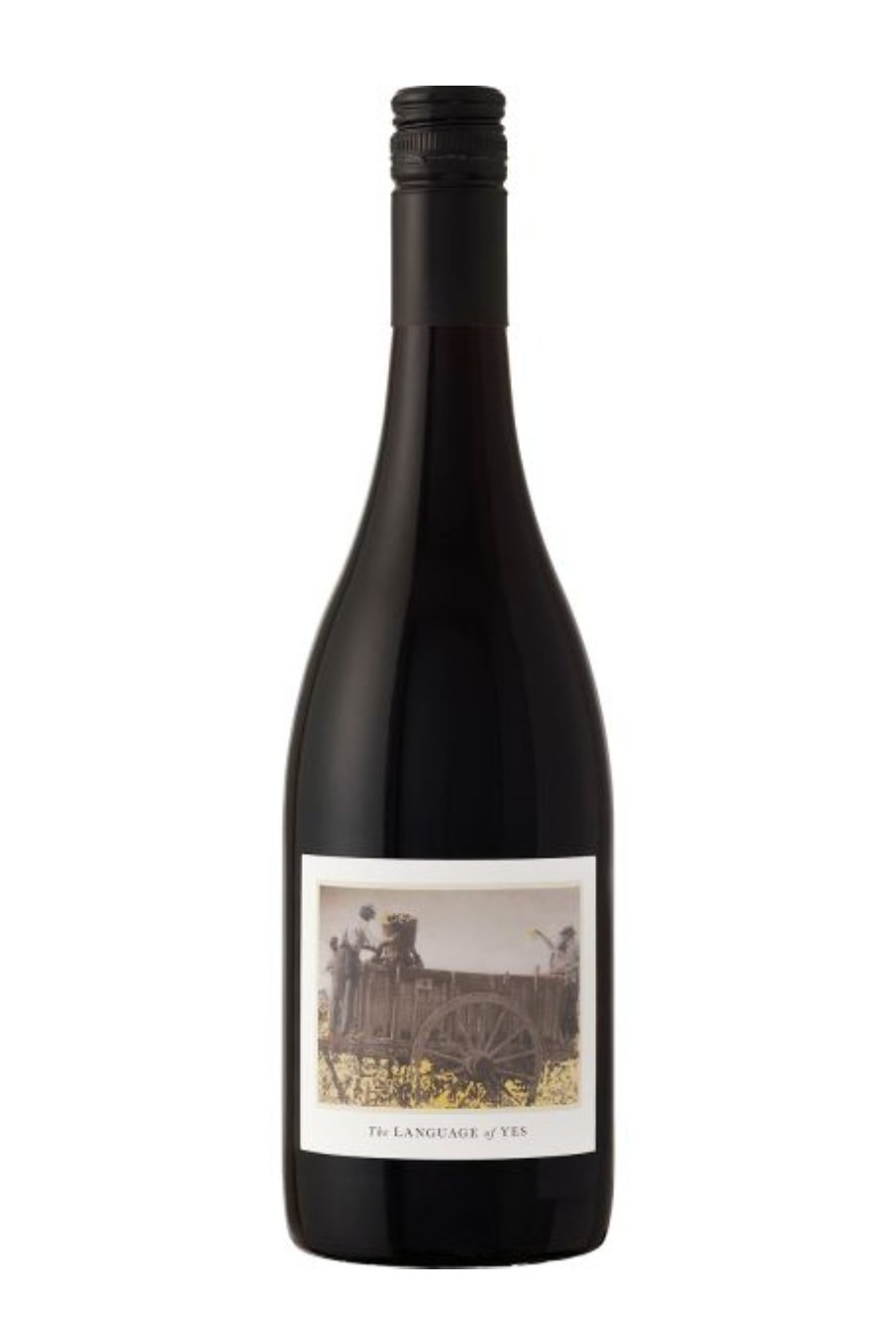 Language Of Yes Syrah Maria 2021 (750 ml)