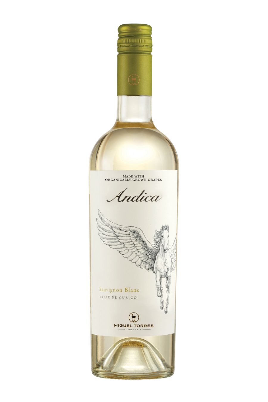 Miguel Torres Andica Sauvignon Blanc 2023 (750 ml)