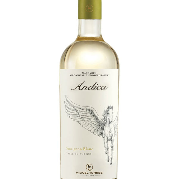 Miguel Torres Andica Sauvignon Blanc 2024 (750 ml)
