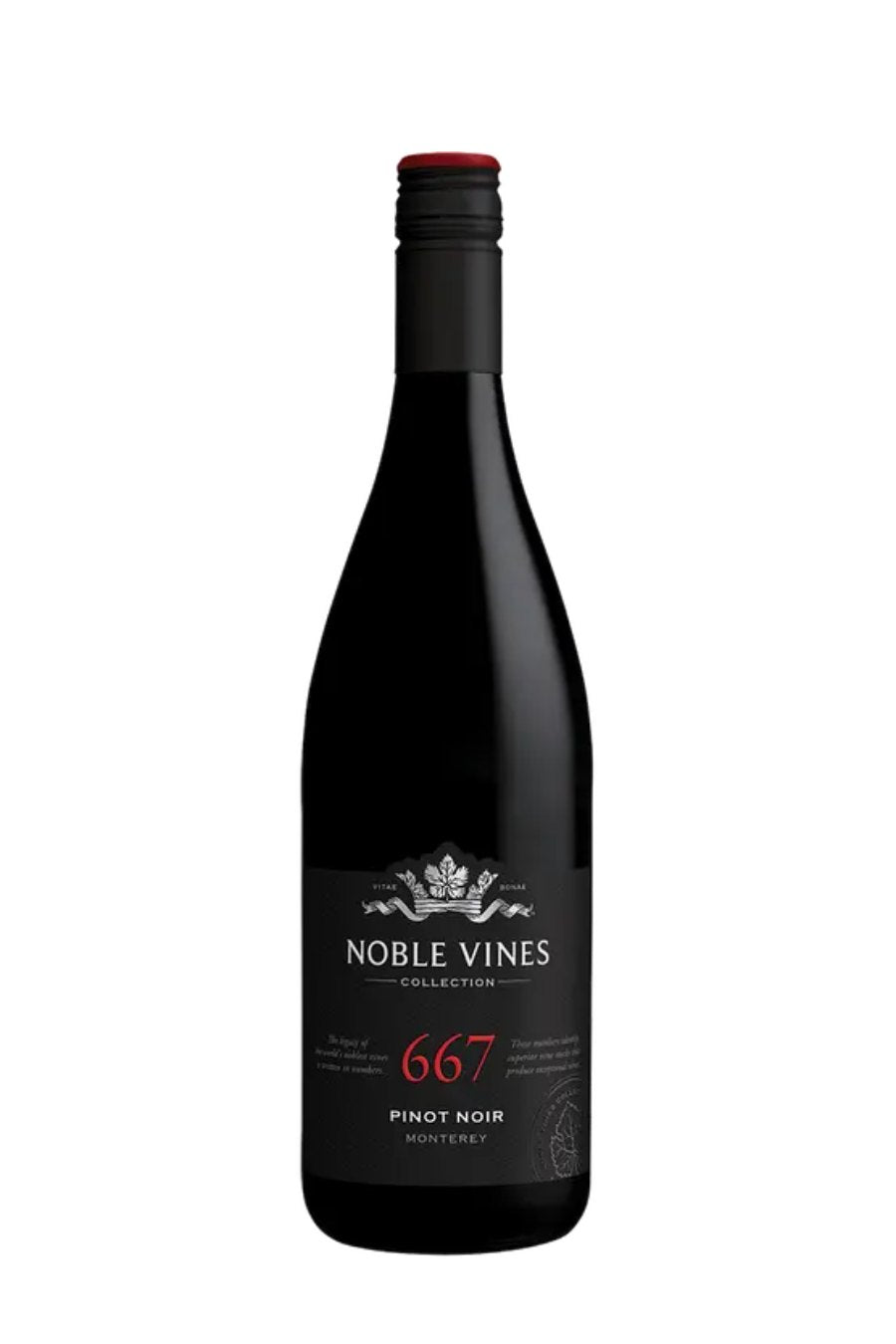 Noble Vines Pinot Noir 2023 (750 ml) - Main Image