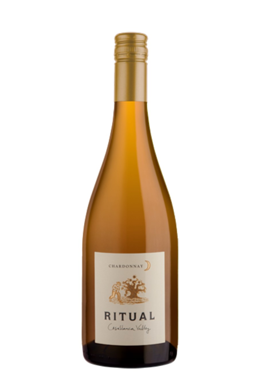 DAMAGED LABEL: Ritual Chardonnay 2019 (750 ml)