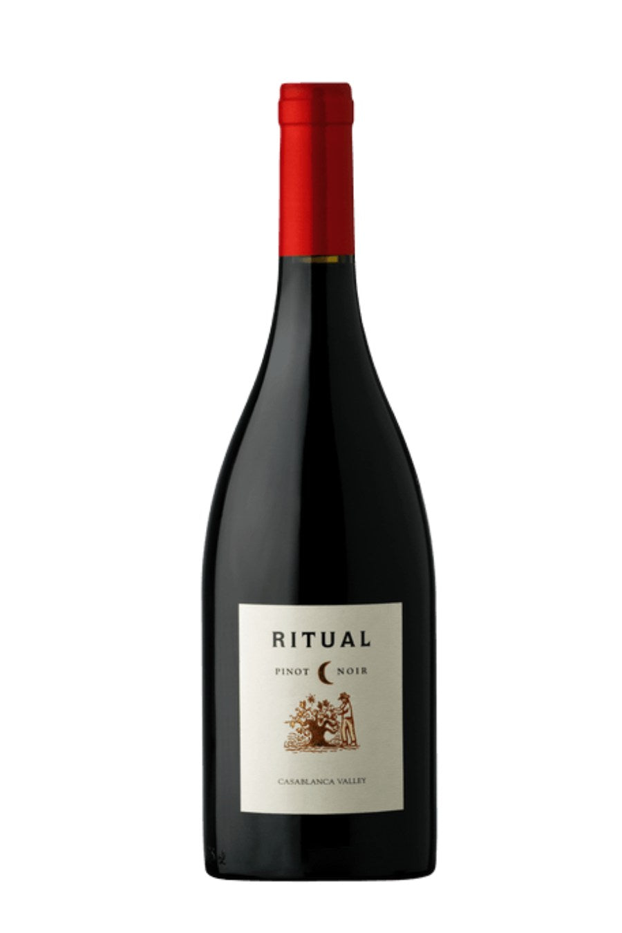 DAMAGED LABEL: Ritual Pinot Noir 2019 (750 ml)