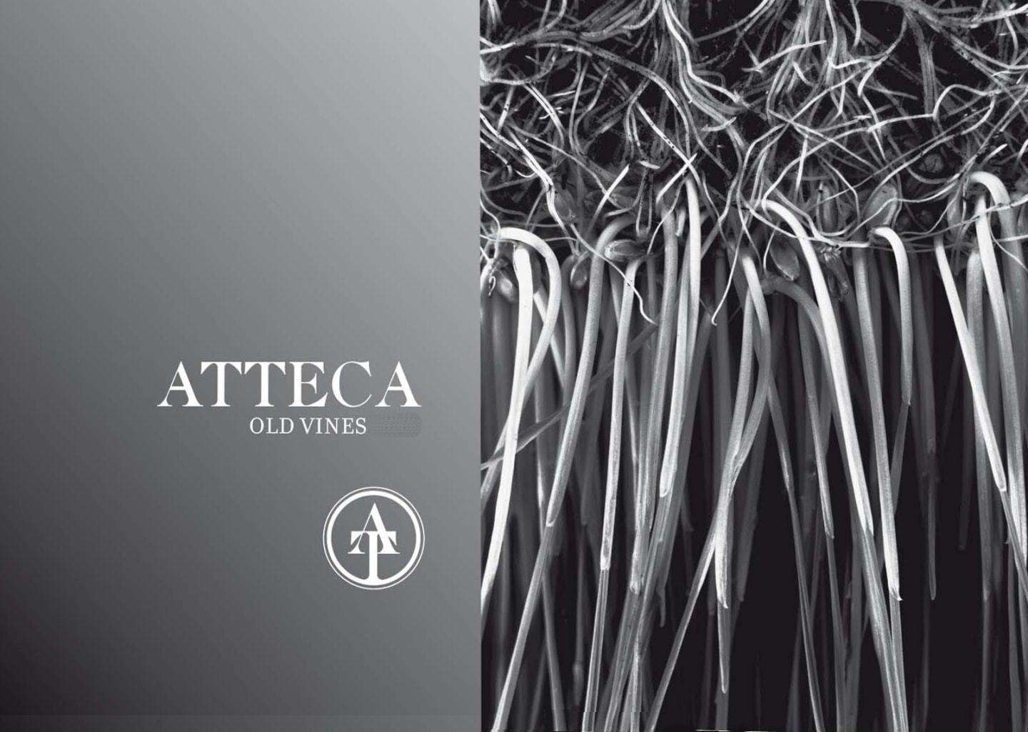 Bodegas Ateca Atteca Grenache 2015 - BuyWinesOnline.com