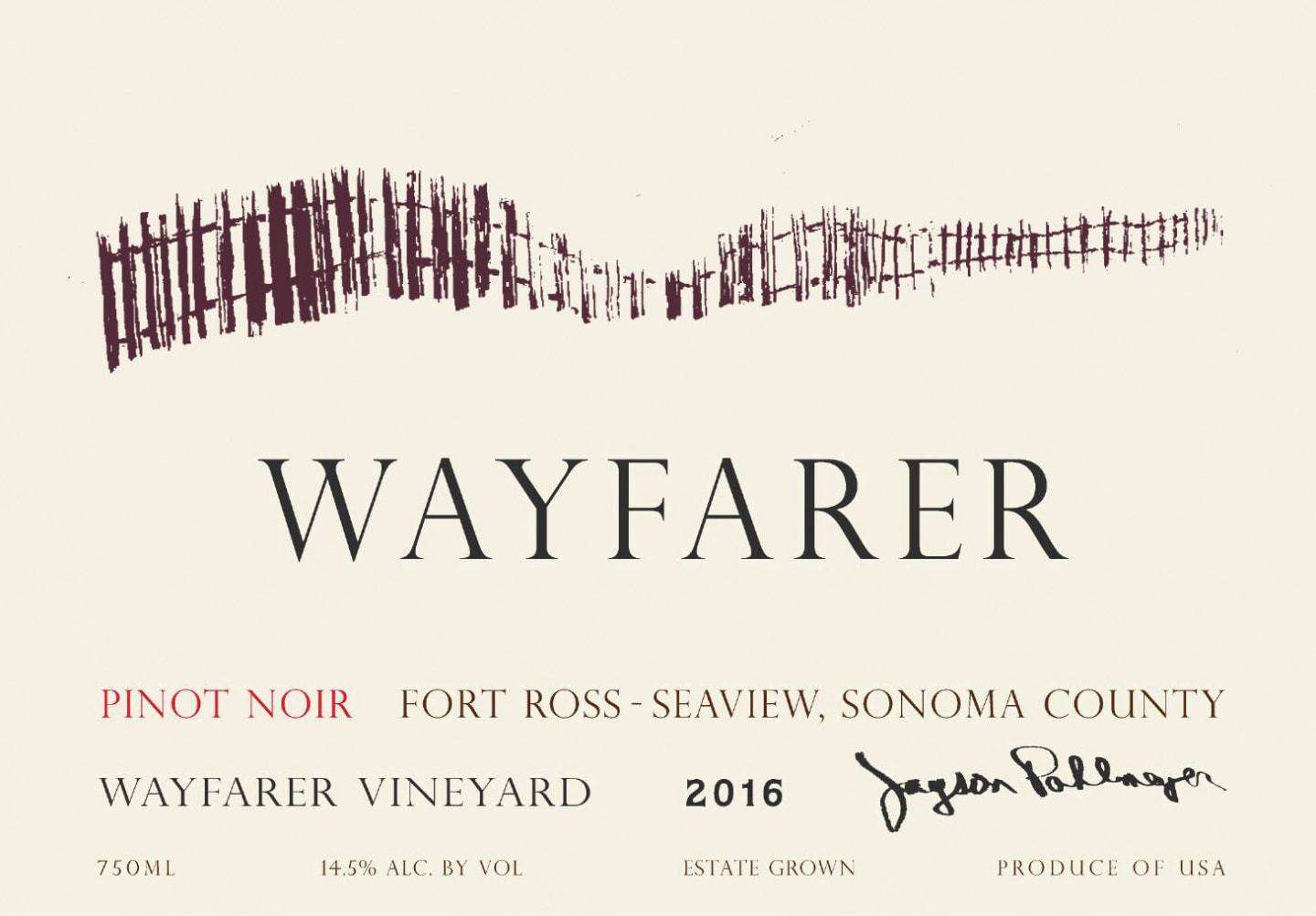 Wayfarer Vineyard Pinot Noir 2017 (750 ml) - BuyWinesOnline.com
